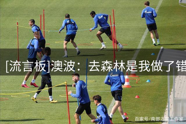 [流言板]澳波：去森林是我做了错误决定，26年执教生涯也就糟糕1个月